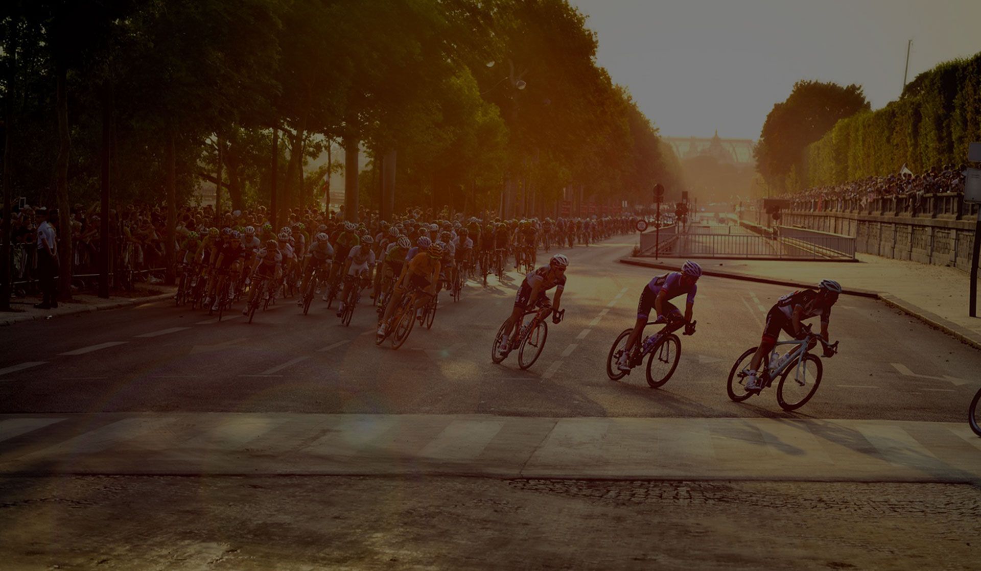 Ciclismo deportivo